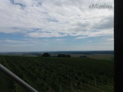20200904_135711.jpg