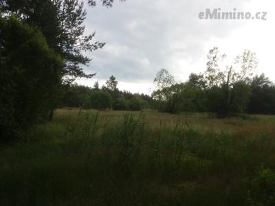 20200703_174146.jpg