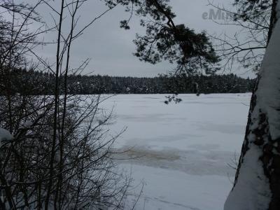 20210119_130944.jpg