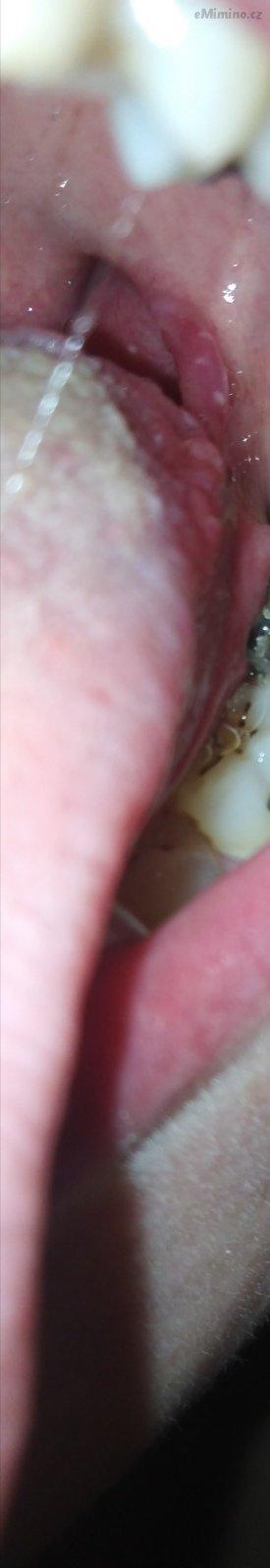 IMG_20210122_173208.jpg