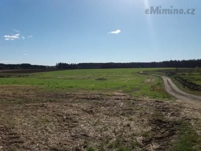 20201004_135025.jpg