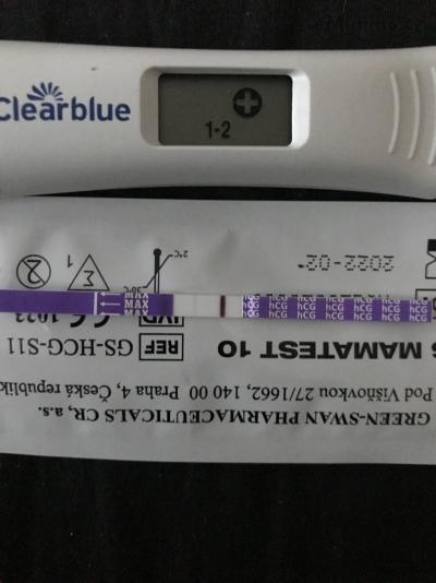 7F2EC4F8-1B4F-4302-989A-3A2E24A9352D.jpeg