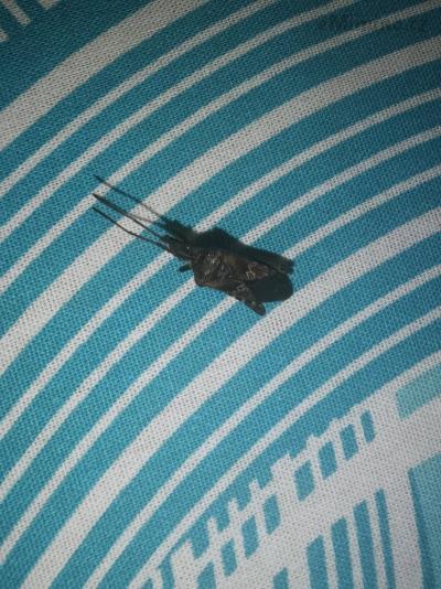 IMG_20200928_204016.jpg