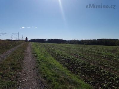 20201004_133357.jpg