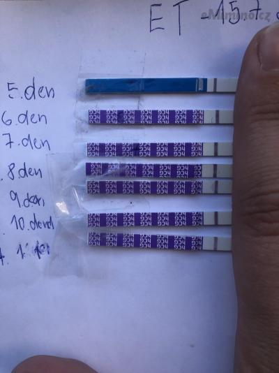 25EDE77E-B717-4EF9-A922-78E75856CB4F.jpeg