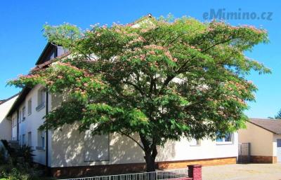 20130801Seidenbaum_Hockenheim01_crop.jpg