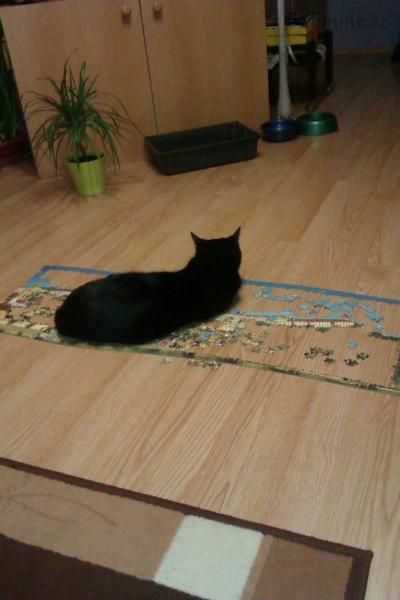 IMAG0094.jpg