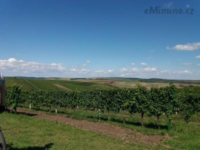 20200903_133158.jpg
