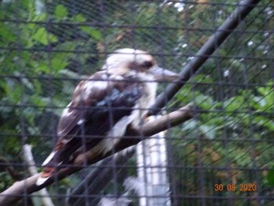 DSC00179.JPG