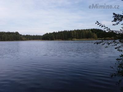 20201003_132839.jpg