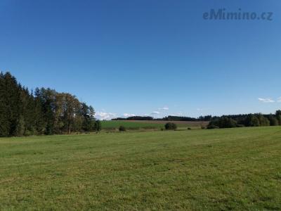 20201004_145803.jpg