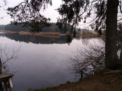 20201122_144525.jpg