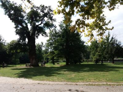 20200904_113909.jpg