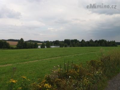 20200811_175334.jpg