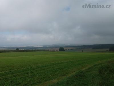 20200830_141300.jpg