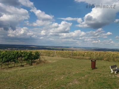 20200903_145256.jpg