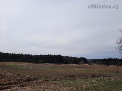 20210405_132657.jpg