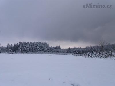 20210109_143723.jpg