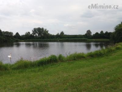 20200811_175731.jpg