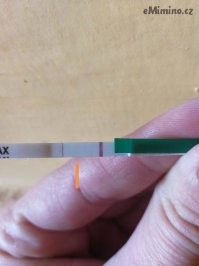 7987562.jpg