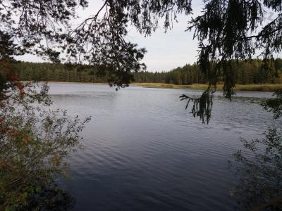 20201003_132712.jpg