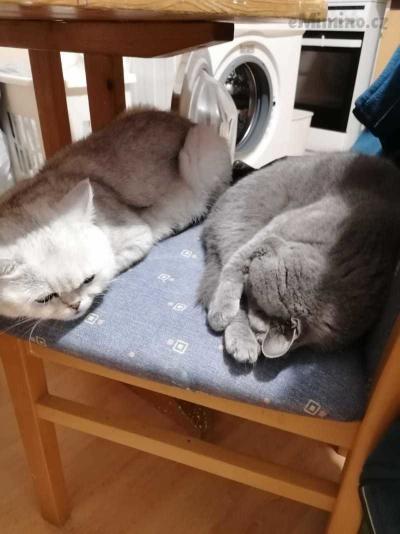 inbound8590896003943189728.jpg
