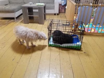 IMG_20201206_194155.jpg