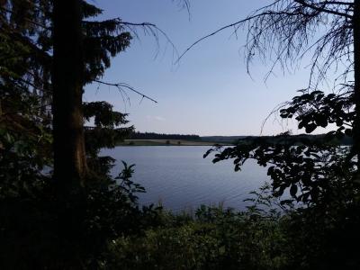 20200720_184255.jpg