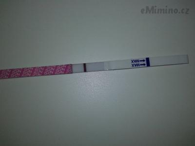 20200619_101652.jpg