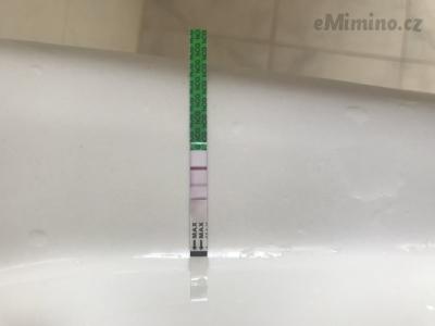 5E03D0AB-C8B9-470E-969B-AFA6F463CB5D.jpeg