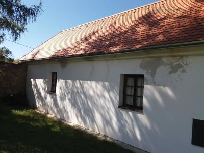 20200905_125409.jpg