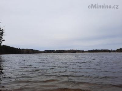 20210405_133426.jpg