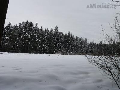 20210119_125850.jpg