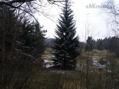 20201122_144544.jpg