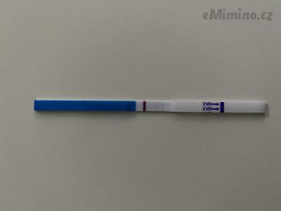 83874865-3A76-4ED3-87F0-169A6DFAE703.jpeg
