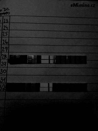 IMG_20201102_212019.jpg
