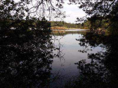 20201003_132157.jpg