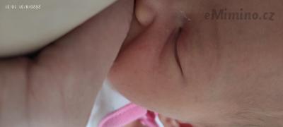 IMG_20200831_103154.jpg