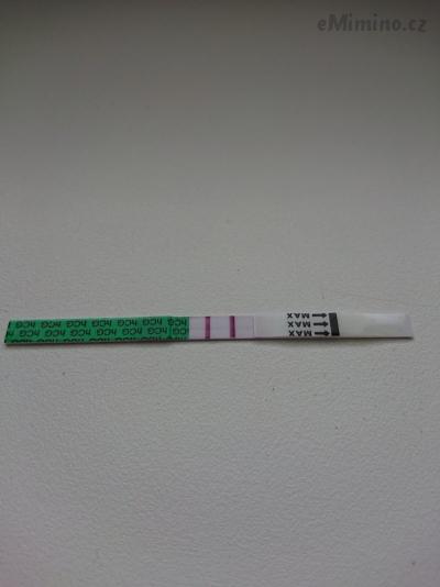 DSC_1251.JPG