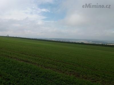 20200830_141403.jpg