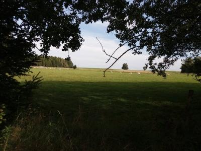 20201003_125222.jpg