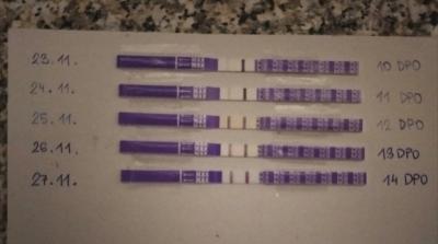 IMG_20201127_065338.jpg