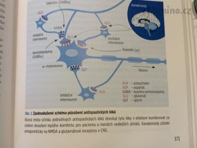 E061500F-457D-40F4-B4F8-EC552B87E81E.jpeg