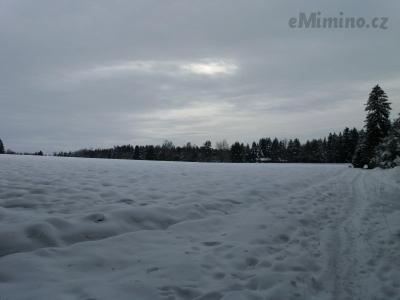 20210119_130205.jpg