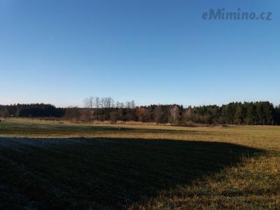 20201231_132458.jpg