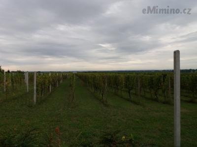 20200904_104904.jpg