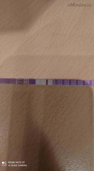 173113496_1426808231006745_3650894394536889485_n.jpg
