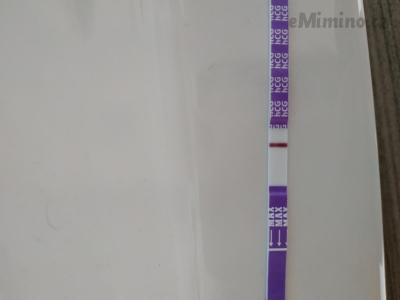 IMG_20210426_074506.jpg