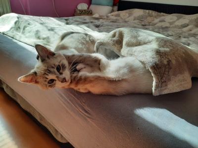 20201001_125650.jpg