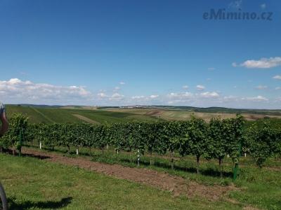 20200903_133200.jpg